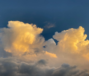 Poem: Mary Oliver - When Death Comes